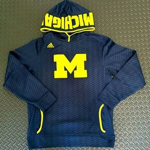 Michigan State Hoodie